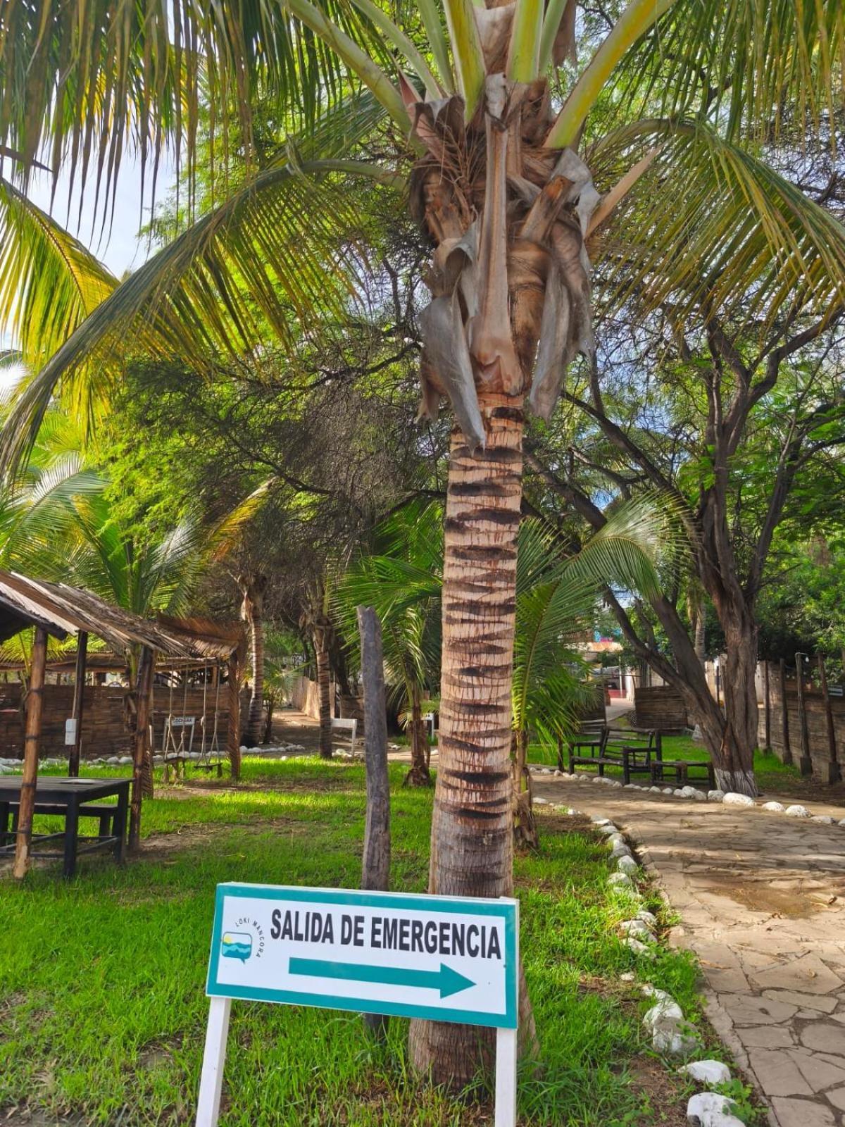 Loki Del Mar Hostel Mancora